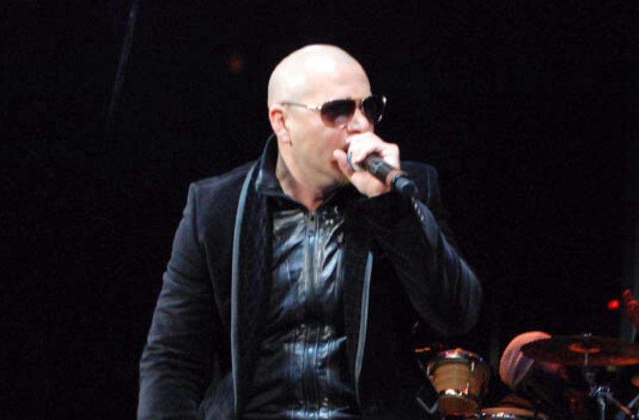 Pitbull w Polsce