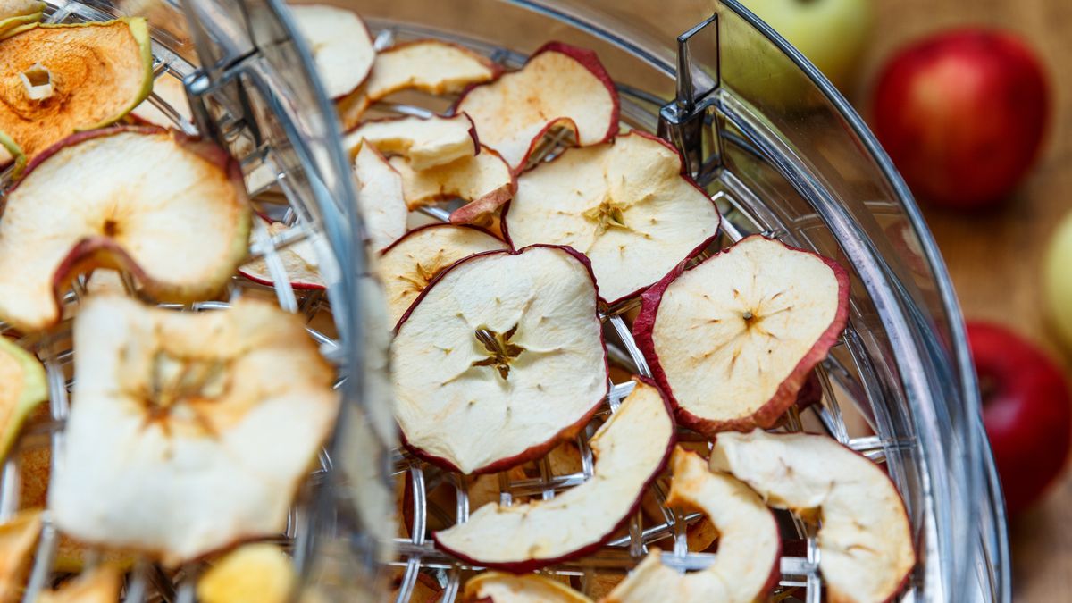 suszarka grzyby jabłka kuchnia suszone owoce