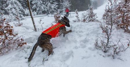 Karkonosze. GOPR wciąż szuka Czorta. Nagroda za pomoc w poszukiwaniach