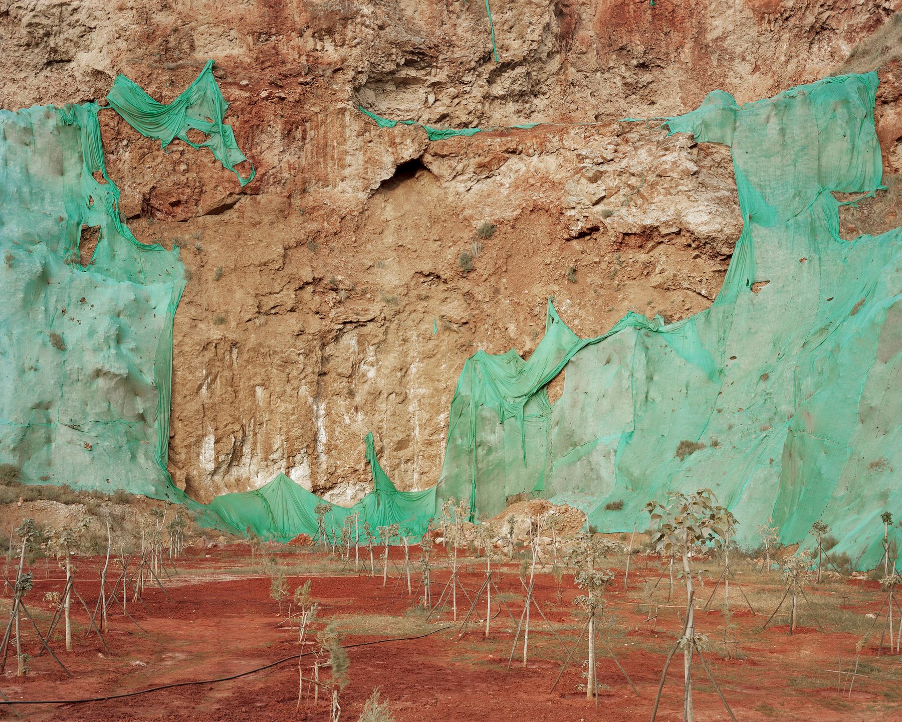 Kontrowersyjny materiał o samobójstwach wygrał Sony World Photography Awards 2019 106