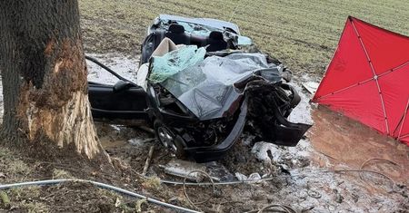 Koszmarny wypadek. Na drzewie został tylko ślad