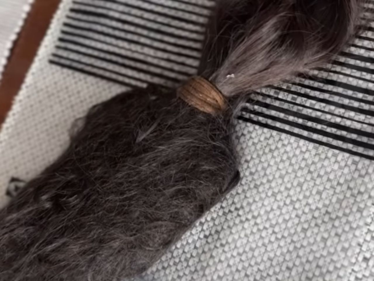 Skupuje naturalne włosy. Pokazała zdjęcie. "Czegoś takiego nie widziałam"