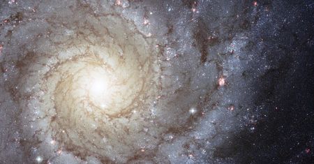 Jak wygląda Galaktyka Widmowa na wspólnym obrazie z teleskopów Webba i Hubble'a?