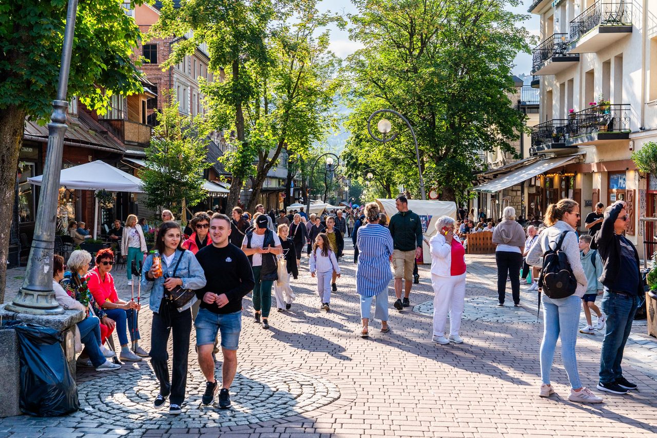 Nietypowy pomysł. Chcą "robokoni" i "robomisiów" w Zakopanem