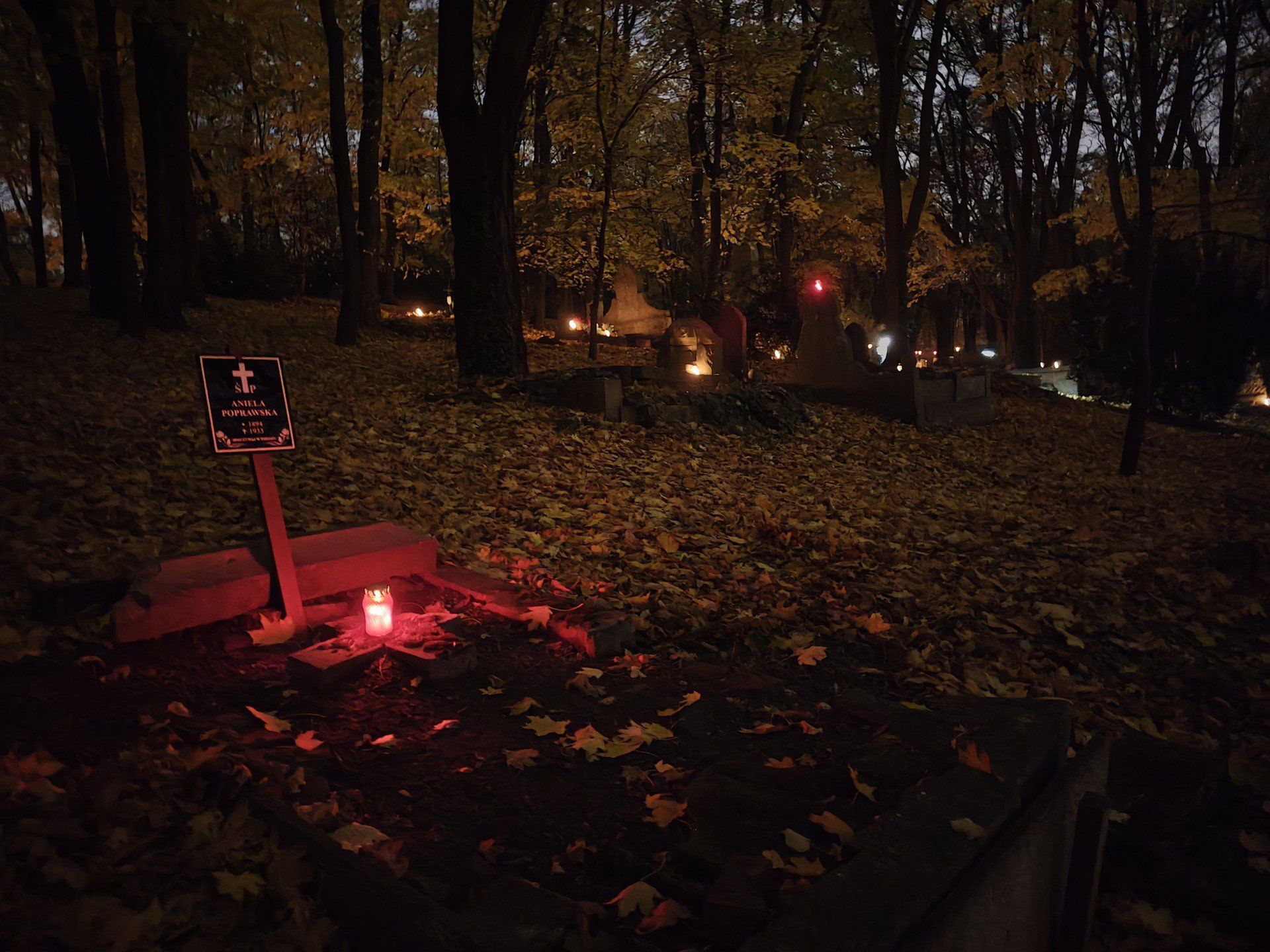 Cmentarze na poznańskiej Cytadeli w dniu Wszystkich Świętych