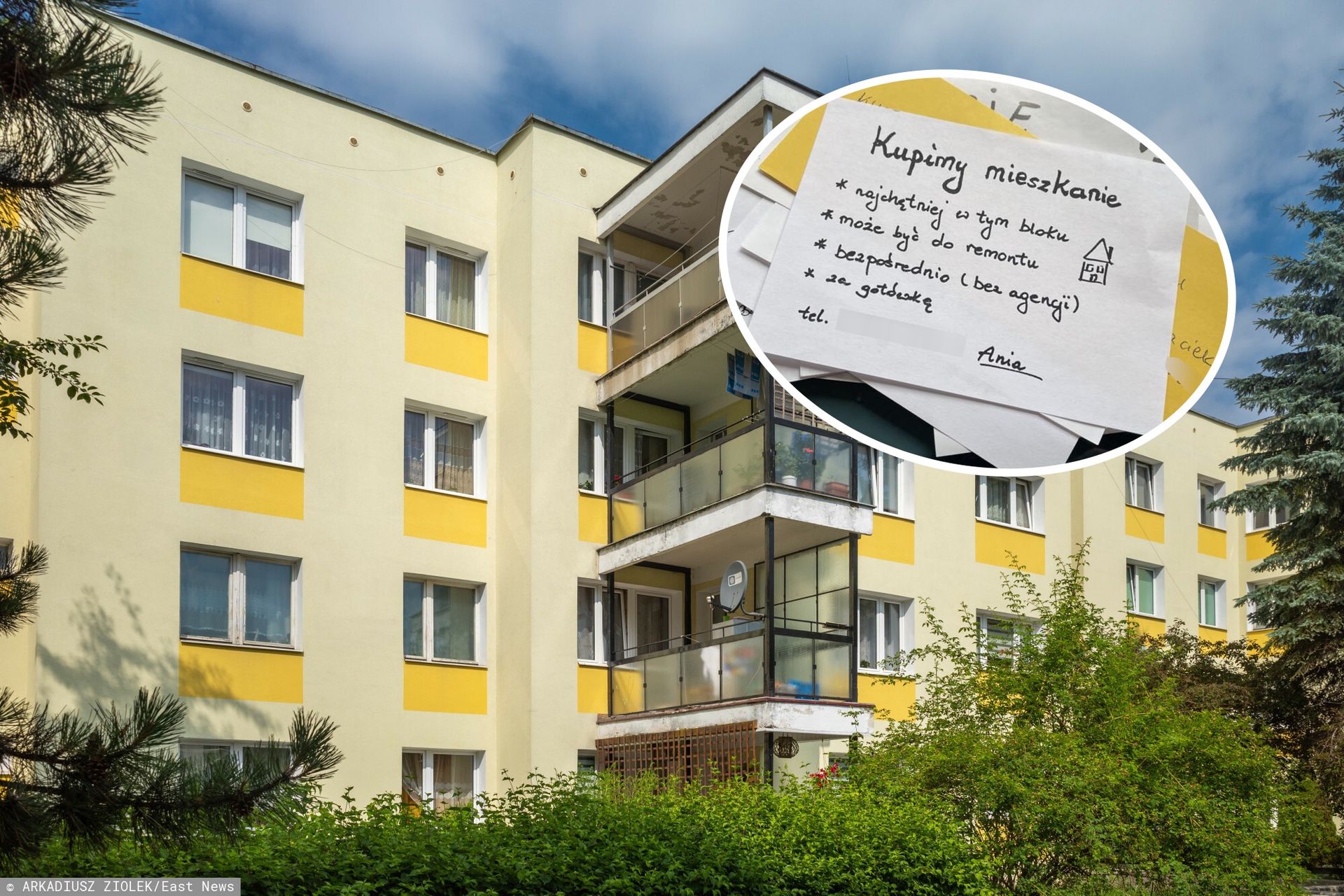 www.money.pl