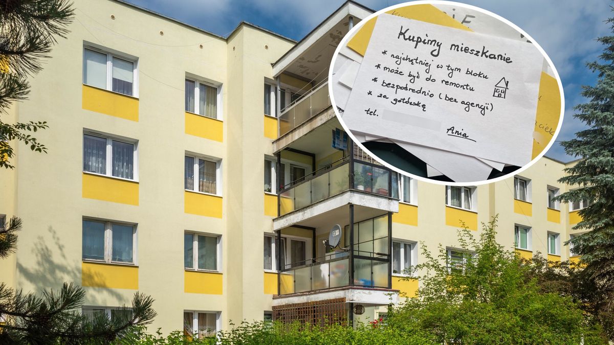 Blok i ulotka flipperów