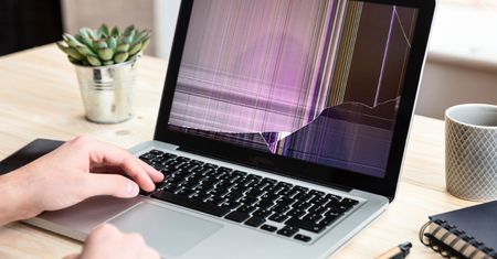 Wdzierają się do domów. Małe robaczki mogą uszkodzić komputer i telefon