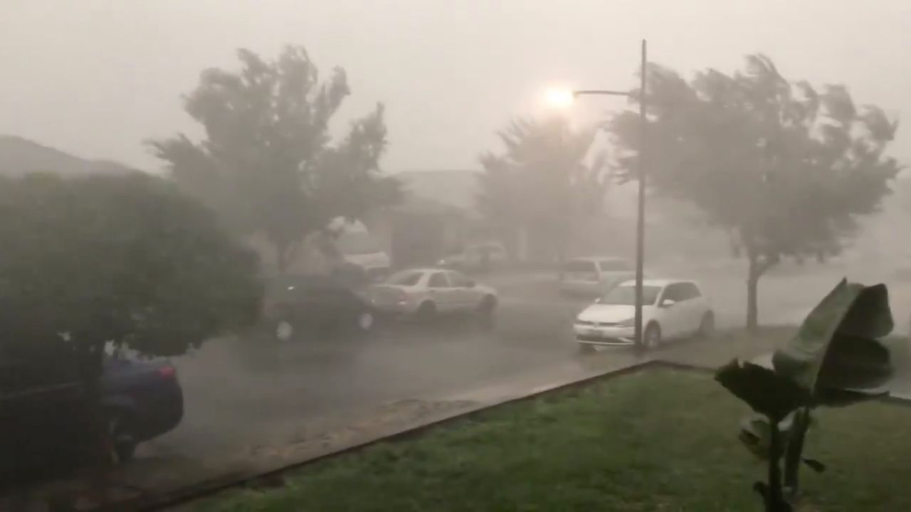Pożary w Australii gasi deszcz. Ludzie zalewają social media zdjęciami i filmami