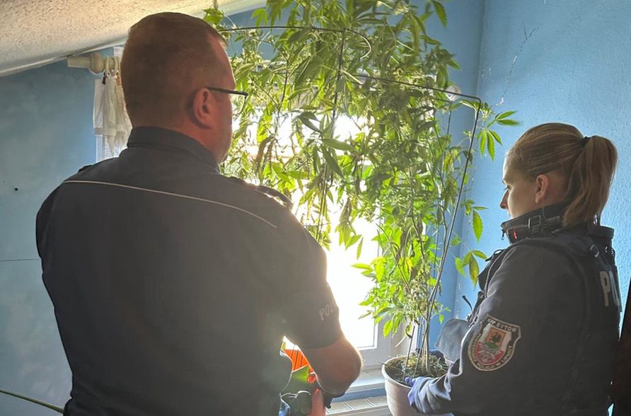 Nielegalna broń i samoróbki. Zbrodnia w Starej Wsi impulsem do działań