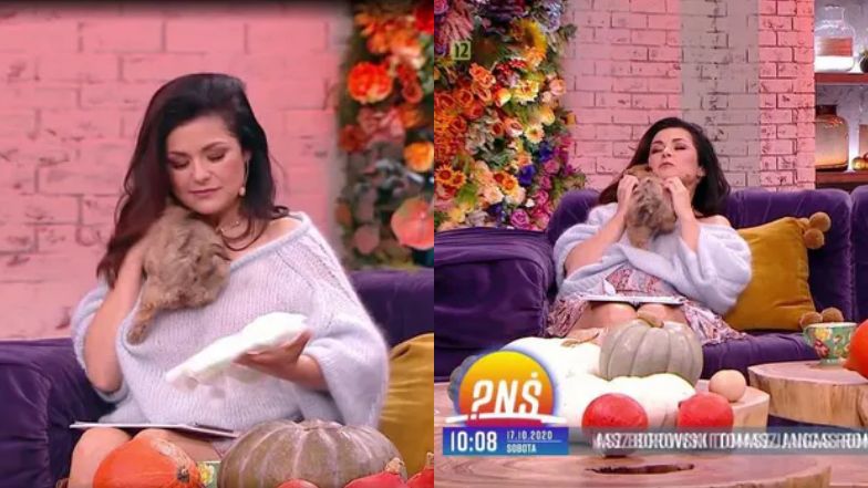 To koniec "Kurzopków" w "Pytaniu na śniadanie". Przypominamy ikoniczne momenty