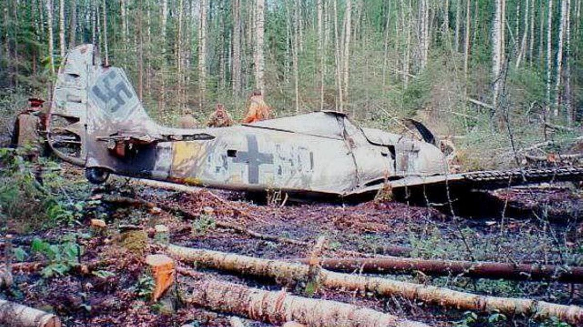 Znaleźli go w rosyjskim lesie. Znajdował się tam od ok. 50 lat 1