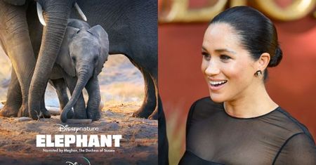 Jest OFICJALNY zwiastun filmu Disneya z udziałem Meghan Markle! (WIDEO)