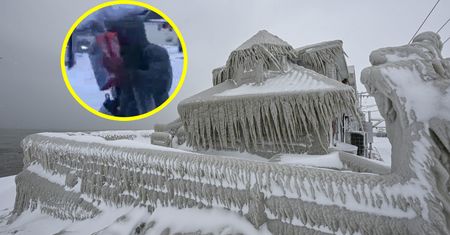 W USA "jak w strefie wojny". Co robią ludzie? "Żałosne, ale prawdziwe"