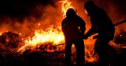Darłowo: Pożar altany działkowej. Strażacy przeszukali zgliszcza