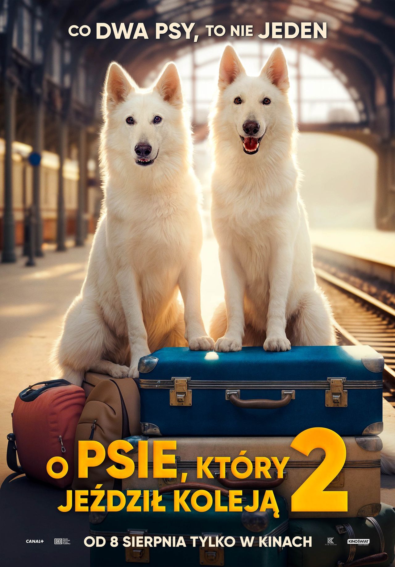 Pieski w kinie