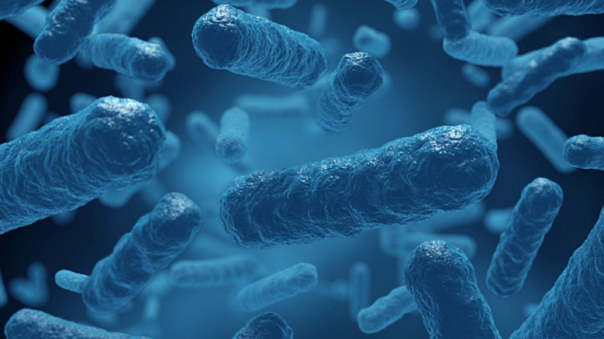 Nowe odkrycie naukowców.