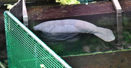 Wrocław. Baby boom w ZOO. Na świat przyszły kolejne maluchy