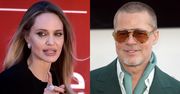 Sąd wydał decyzję ws. francuskiej winnicy. Angelina Jolie musi pokazać Pittowi PRYWATNĄ KORESPONDENCJĘ