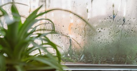 Mokre okna od środka? Jesienią ten problem wraca