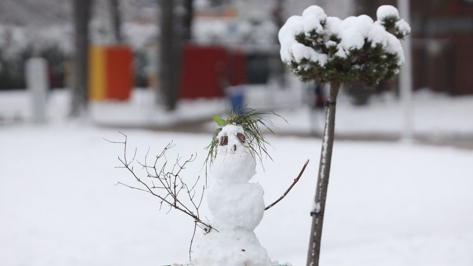 Galeria z Paprocan zimową porą