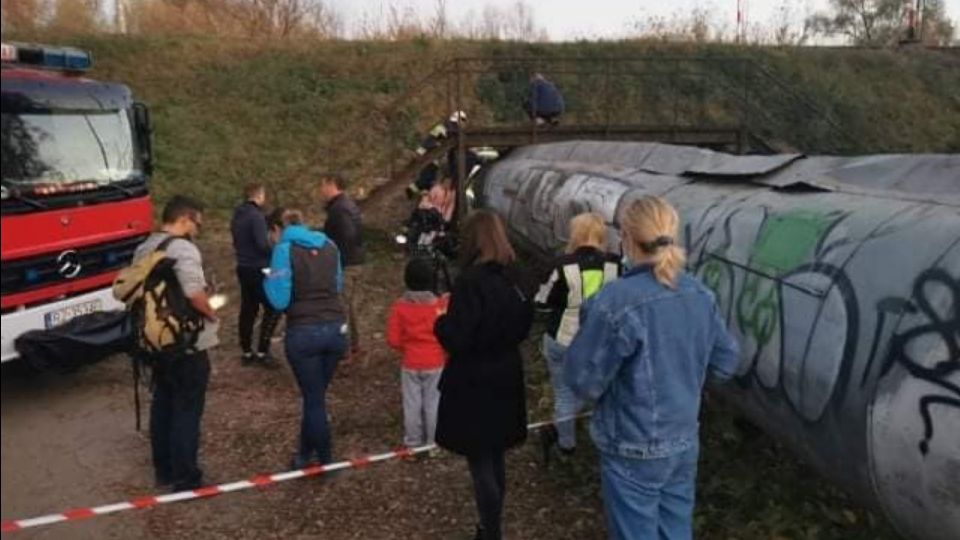rzeszow akcja ratunkowa kot kotek zwierzeta