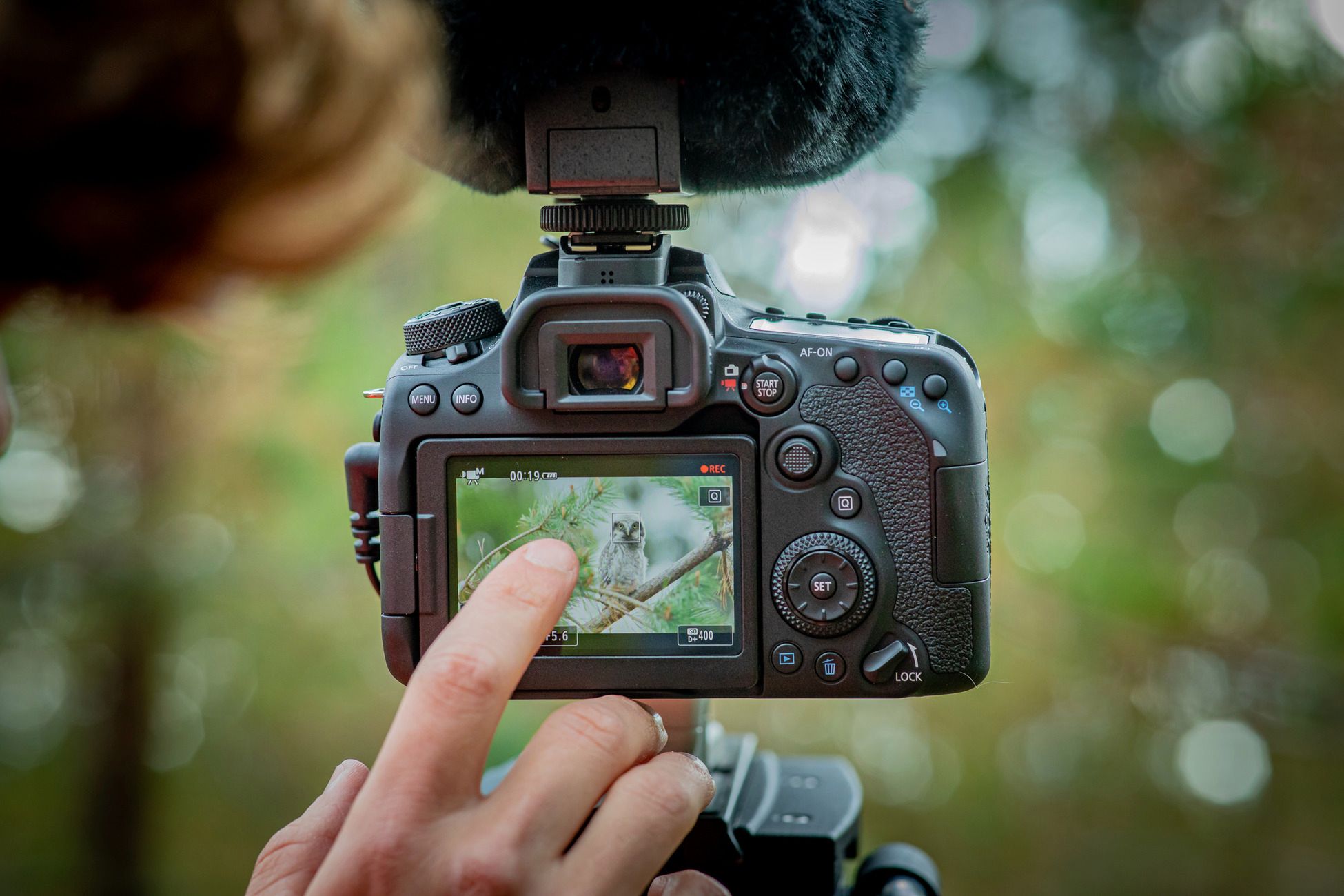 Canon EOS 90D i Canon EOS M6 Mark II to najciekawsze korpusy Canona od lat 18