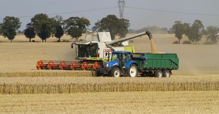 "Rozgoryczenie rolników". Izba: wstrzymują sprzedaż