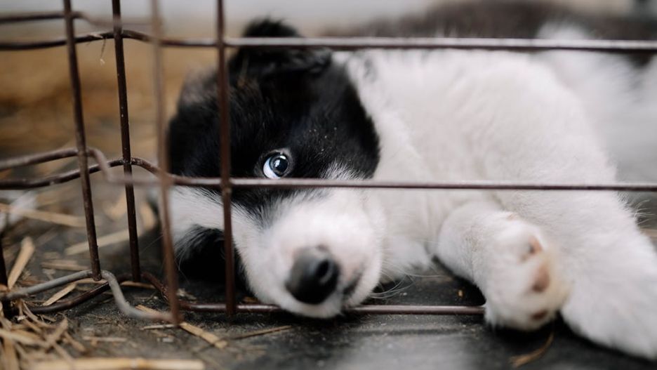 Zdjęcie ilustracyjne