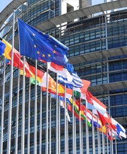 Bruksela. Organizator gejowskich orgii: przyjeżdżają do mnie politycy PiS