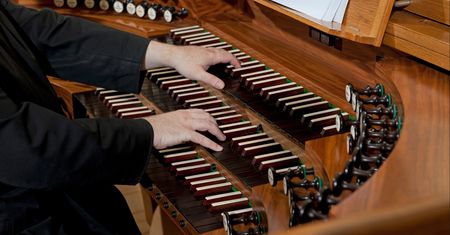Ile zarabia organista? Niektórzy dostają ponad 300 zł dziennie