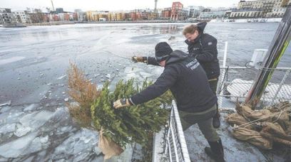 Dlaczego w Szwecji topią choinki? Nietypowy pomysł na recykling