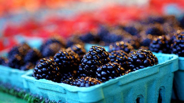 RIM pracuje nad Blackberry działającym w LTE - dopiero teraz 1