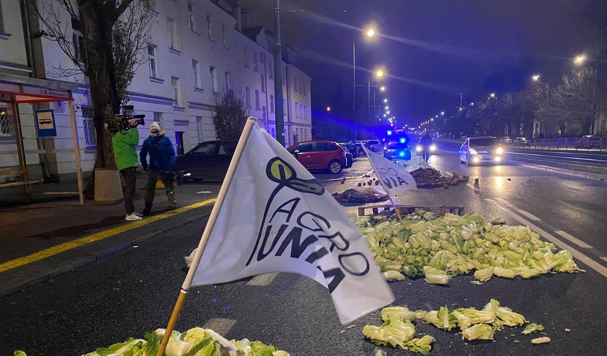 Protest rolników. Agrounia zostawiła na ulicy jedzenie i martwą świnię