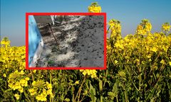 Okropny widok w Pleszewie. Zdjęcia krążą w sieci