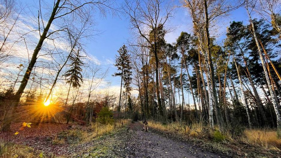 Pogoda. Wrocław. 22 stycznia 2021 - nawet 10 st. C na termometrach. W niedzielę może wrócić śnieg