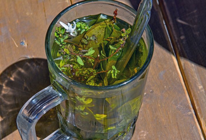 Eliksir długowieczności. Obniża ciśnienie, chroni wątrobę i reguluje cukier