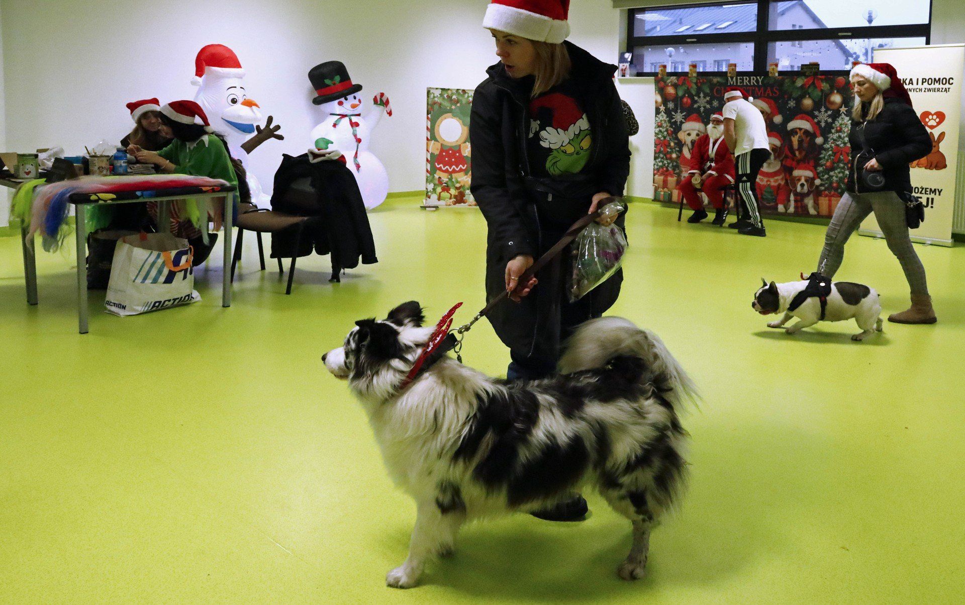 Festyn charytatywny na rzecz zwierząt w Marinie w Grudziądzu