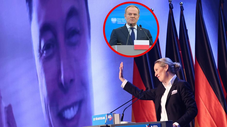 Donald Tusk skomentował rosnące poparcie dla AfD