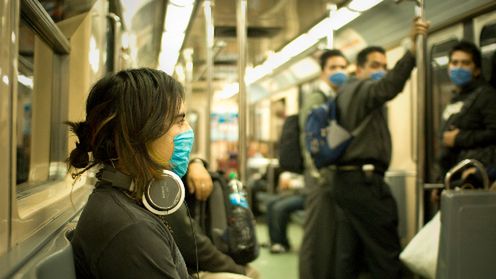 Świńska grypa w Internecie 1