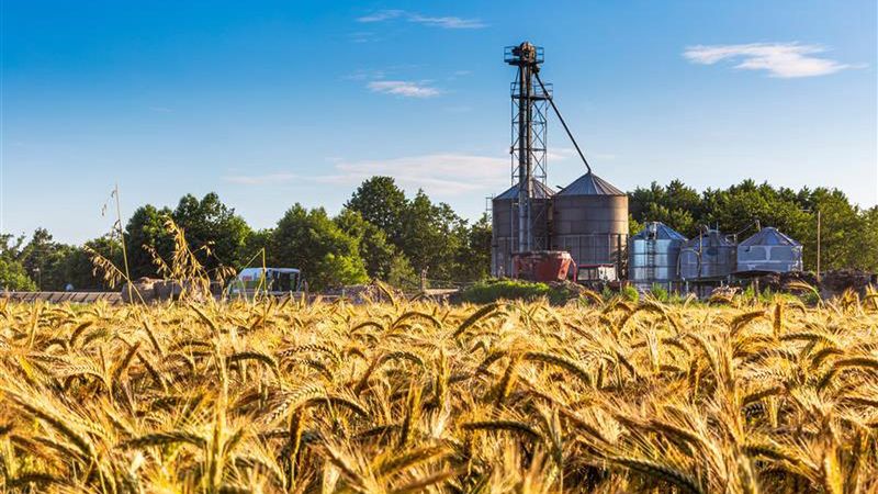 Finanse rolników od kuchni. W badaniu odpowiadają, czy rola się im opłaca?
