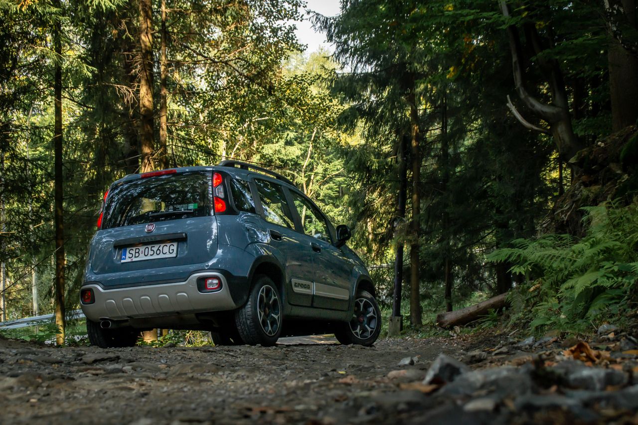 Fiat Panda Cross 4x4 (2021)