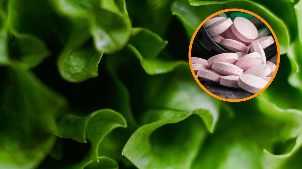 Dieta lekkostrawna z chromem zbawienna dla wątroby? Nowe badania