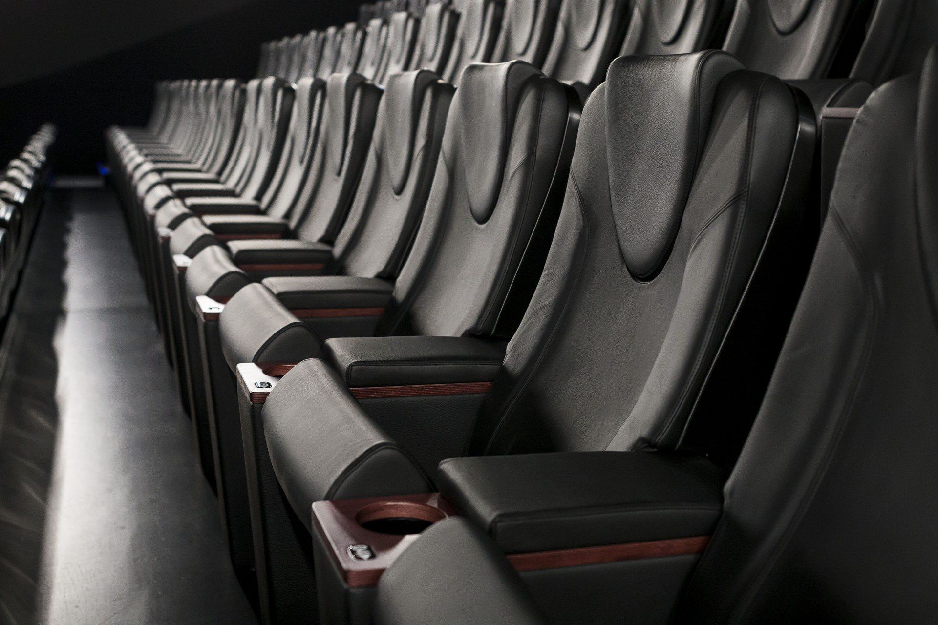 Animus film. Kino Wartości