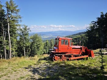 Beskidy: Góry, piękne widoki, grzyby i... schabowy. Ten szczyt może zdobyć każdy. Uwielbiał go najsłynniejszy Polak w historii