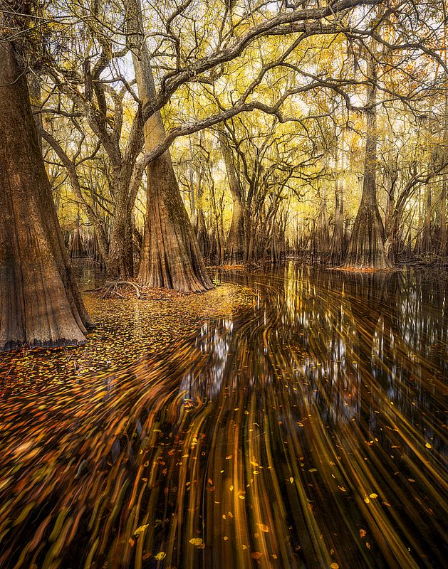 Znamy zwycięzców konkursu International Garden Photographer of the Year 2016 18