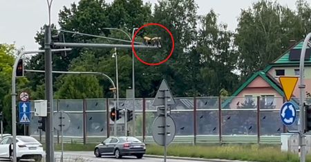Kwota wgniata w fotel. Wynik "maszynki do mandatów" po 10 latach