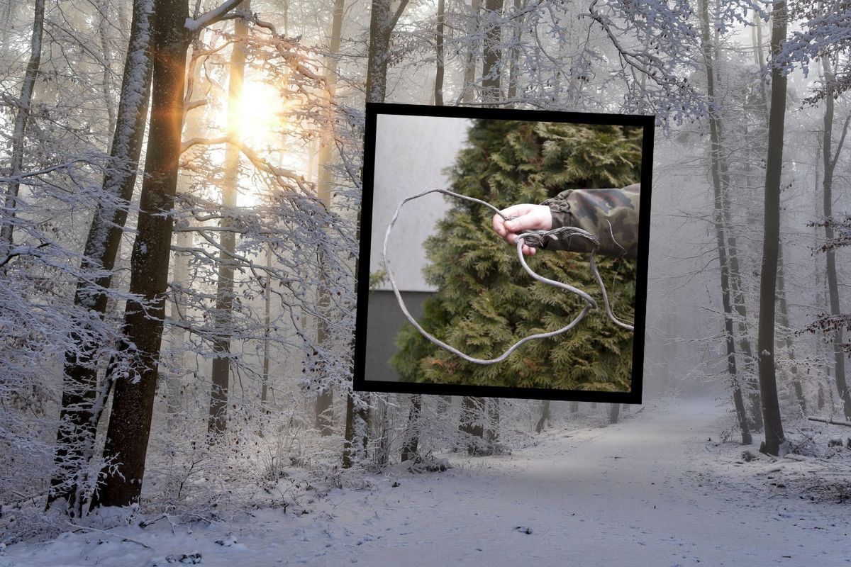 Leśnik znalazł je w lesie. Jest wściekły. "Uważajcie!"