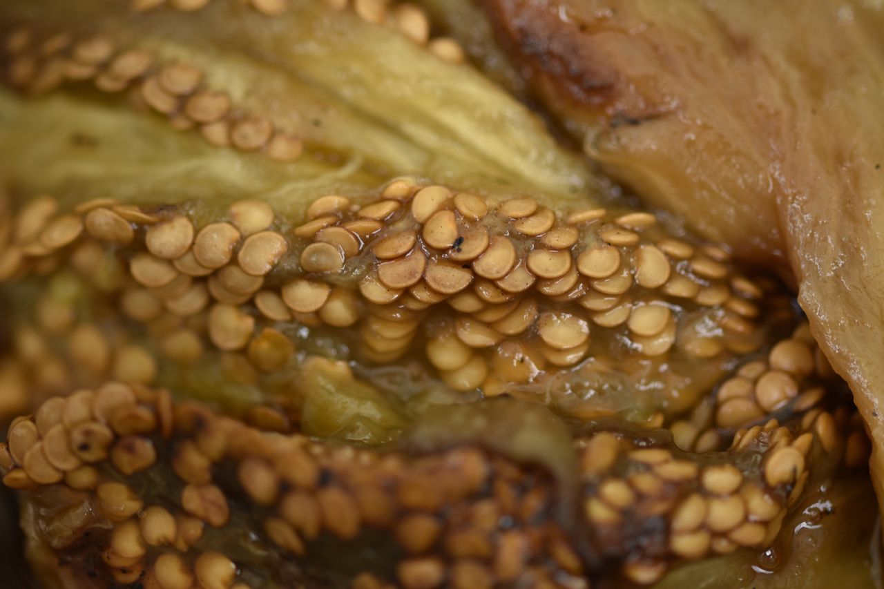 Gdy zobaczysz w sklepie, kupuj bez wahania. Wzmaga popęd, wzmacnia serce i działa odtruwająco