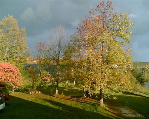 Obraz